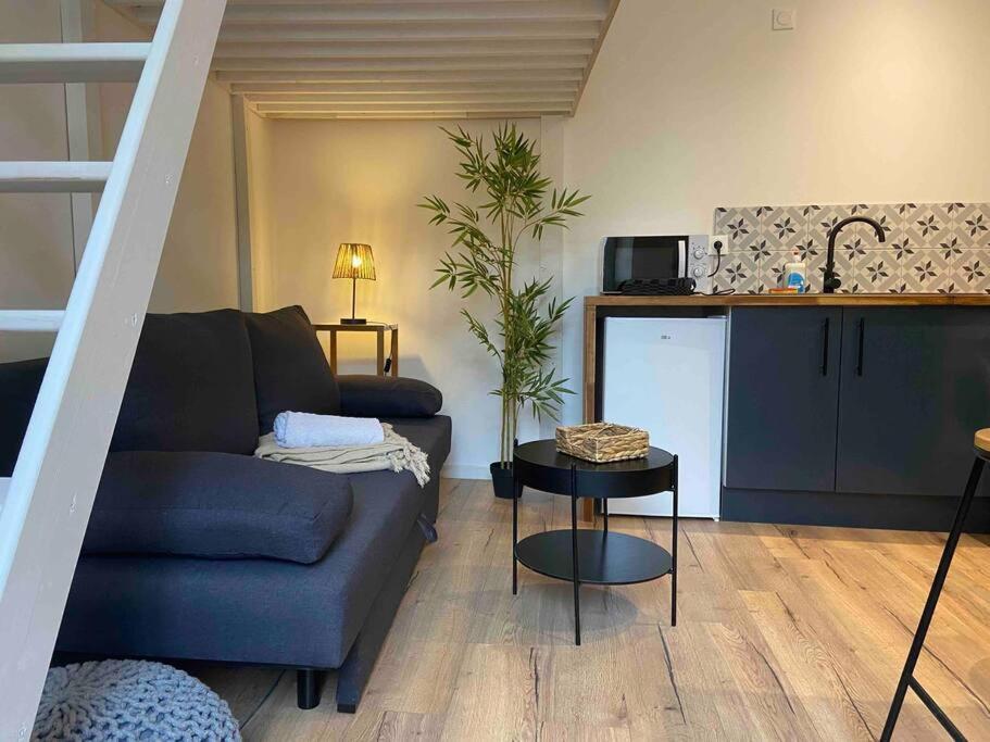 Charmant Studio Vierzon Bagian luar foto