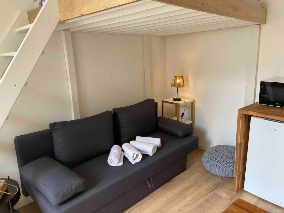 Charmant Studio Vierzon Bagian luar foto